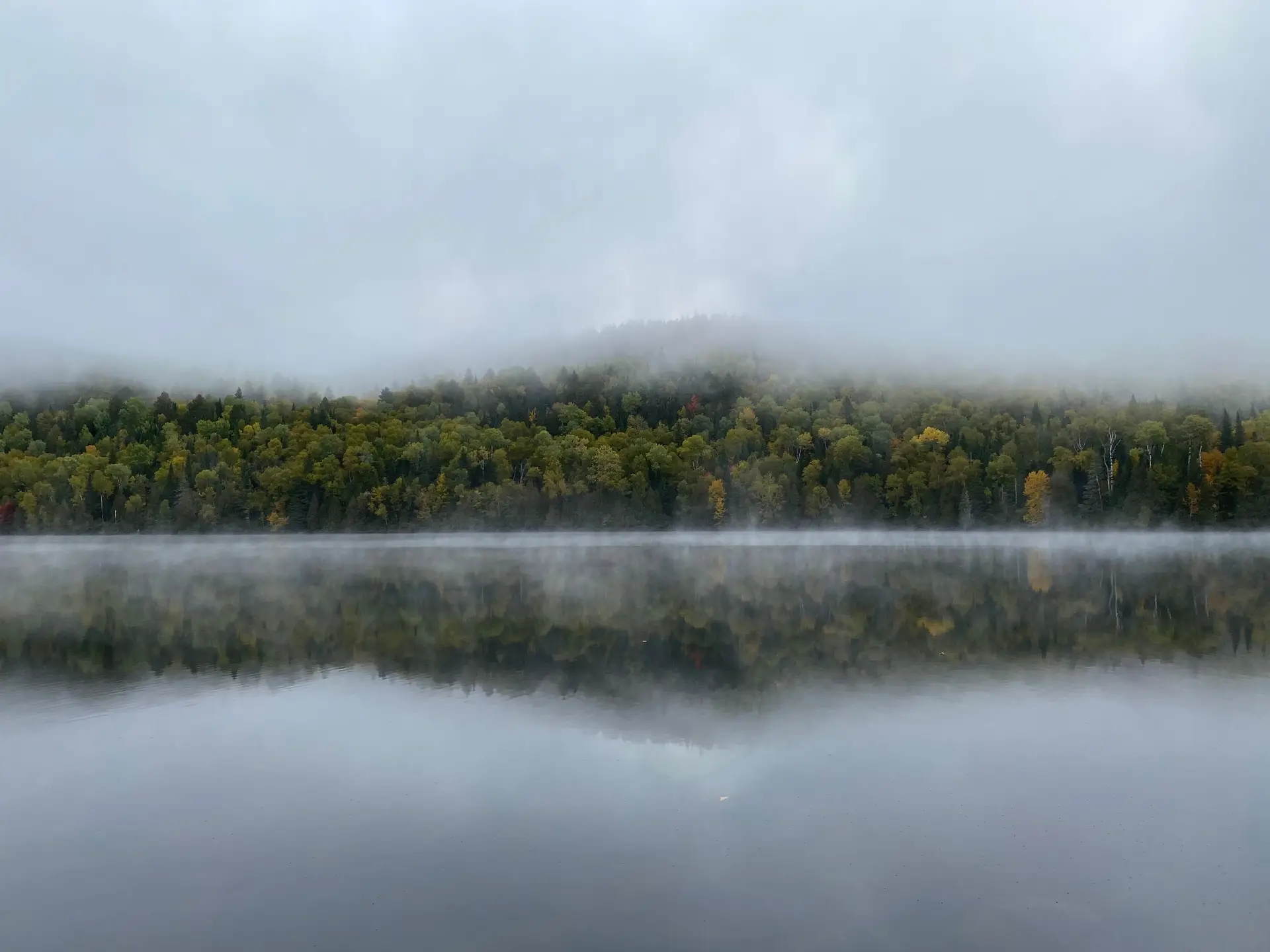Quiet Canadian forest reflected in still water